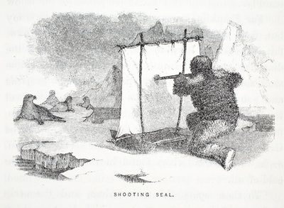Shooting Seal (illustration from 